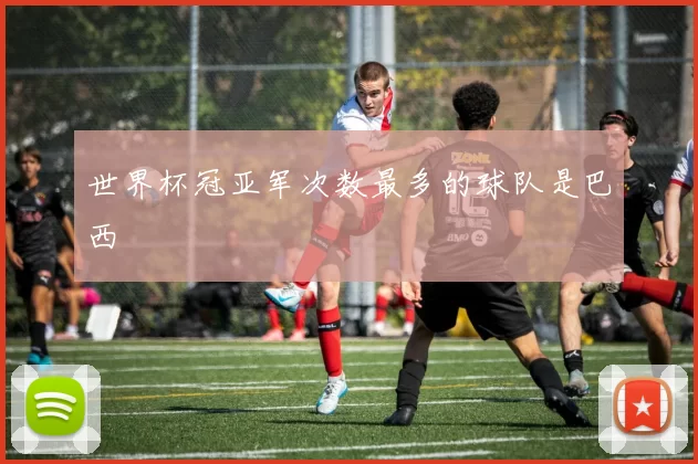 世界杯冠亚军次数最多的球队是巴西