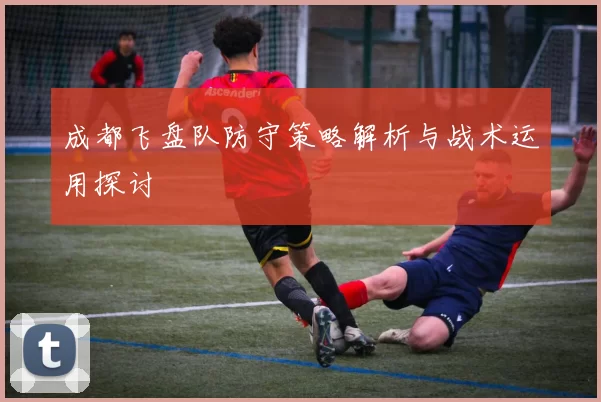 成都飞盘队防守策略解析与战术运用探讨