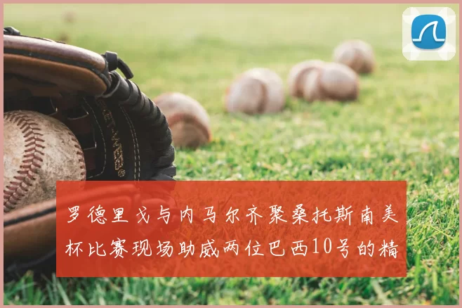 罗德里戈与内马尔齐聚桑托斯南美杯比赛现场助威两位巴西10号的精彩时刻