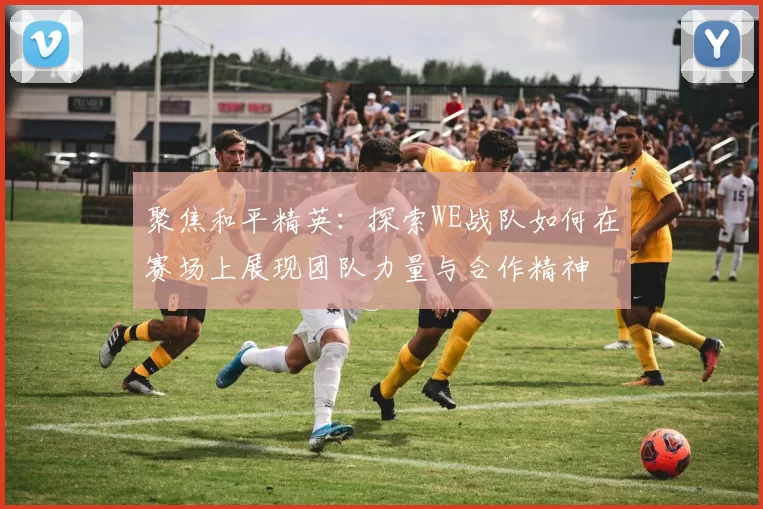 聚焦和平精英：探索WE战队如何在赛场上展现团队力量与合作精神