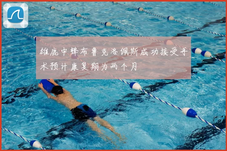 雄鹿中锋布鲁克洛佩斯成功接受手术预计康复期为两个月