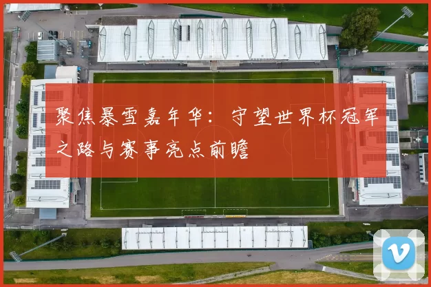 聚焦暴雪嘉年华：守望世界杯冠军之路与赛事亮点前瞻