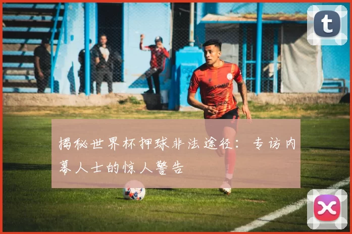 揭秘世界杯押球非法途径：专访内幕人士的惊人警告