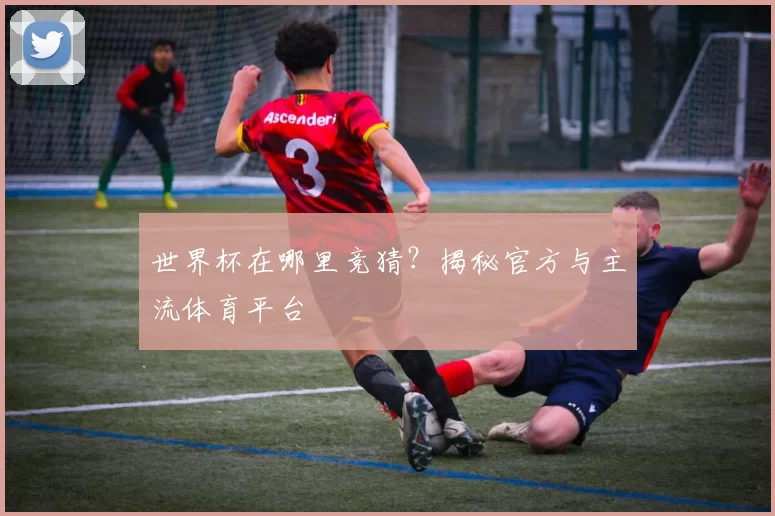 世界杯在哪里竞猜?揭秘官方与主流体育平台