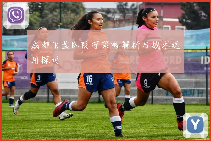 成都飞盘队防守策略解析与战术运用探讨