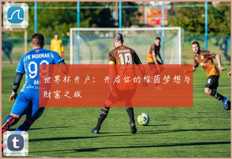 世界杯开户:开启你的绿茵梦想与财富之旅